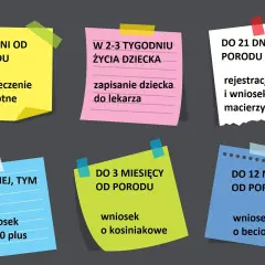 Terminy na złożenie wniosków o pieniądze za urodzenie dziecka z ZUS i inne świadczenia: ubezpieczenie zdrowotne, rejestracja dziecka, urlop macierzyński, 500+, becikowe, kosiniakowe.