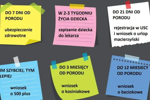 Terminy na złożenie wniosków o pieniądze za urodzenie dziecka z ZUS i inne świadczenia: ubezpieczenie zdrowotne, rejestracja dziecka, urlop macierzyński, 500+, becikowe, kosiniakowe.
