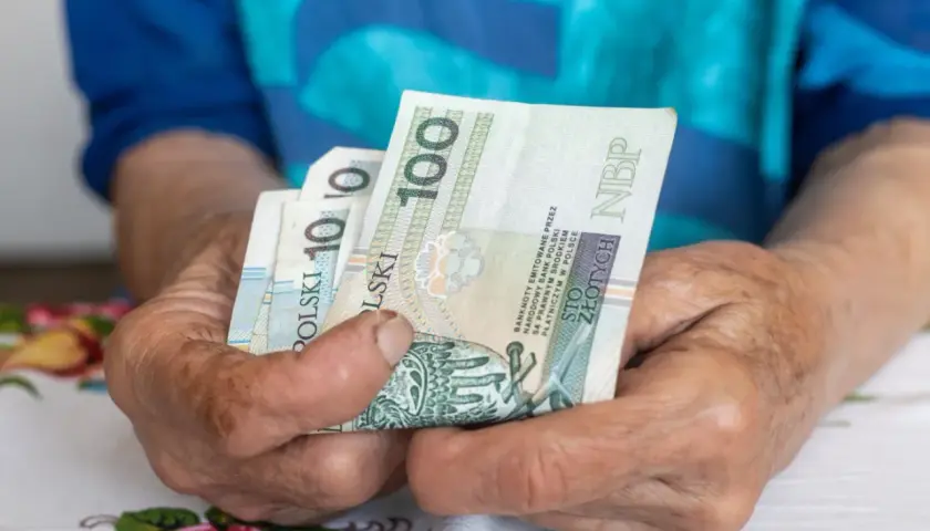 Dłonie starszej osoby trzymają banknoty 100 zł. Czy to najniższa emerytura netto?